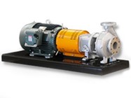 ANSI B73.1 Pumps